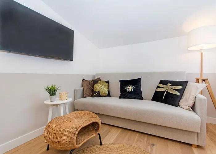 Ijg Imperial * 索波特