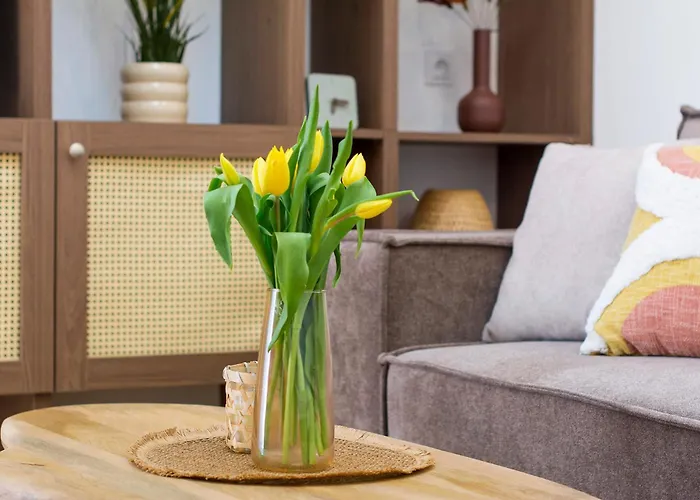 Ijg Imperial * 索波特